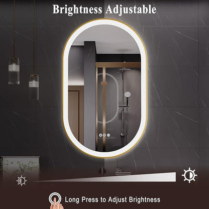 LED Mirror for Bathroom, 24x40 Inch Vanity Mirror with Lights，Anti-Fog Oval Bathroom Mirror, 3 Colors and Stepless Dimmable Wall Mounted Makeup Mirror with Metal Frame