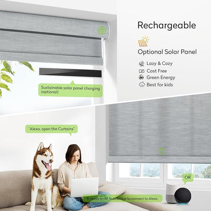ZSTARR Motorized Light Filtering Roller Blinds with Remote Control,Rechargeable Smart Window Shades Compatible with Alexa Google via Hub,Fabric Wrapped Valance, Custom Size (Light Smoke Gray)