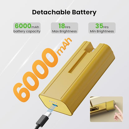 16" Light for Wall Picture with 6000mAh Battery - Brass Operated Wireless Wall Art Light with Remote Control for Artwork, Mirror & Portrait