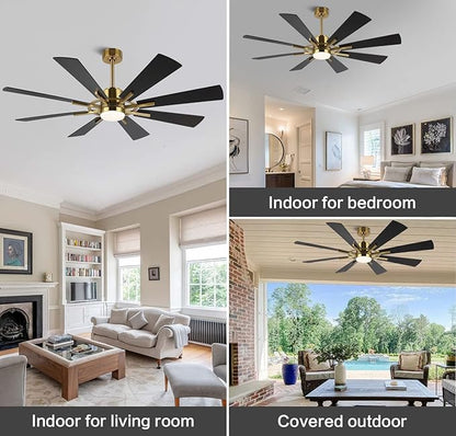 WINGBO 72" DC Ceiling Fan with Lights and Remote, Gold and Black Ceiling Fan w/ 3 Downrods, 8 Plywood Blades, 6-Speed Reversible DC Motor, Modern Ceiling Fans Indoor for Kitchen Bedroom Living Room