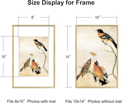 10x14 Picture Frame, Brass Aluminum Metal Photo Frames with HD Glass, Fits 8x10 with Mat or 10 x 14 without Mat, Display for Wall, 1 Pack