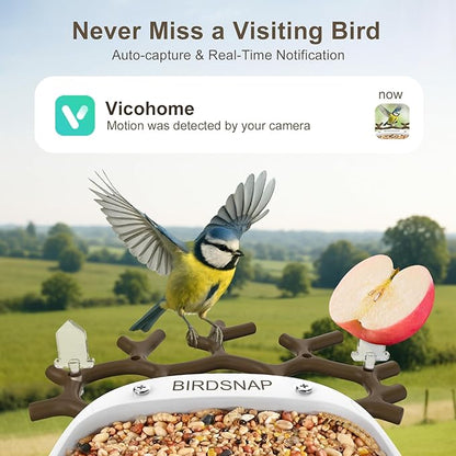 birdsnap® P33 - Smart Bird Feeder with Camera Solar Powered, 2K Video Bird Camera Feeder Live with 32GB Card, AI Identify Feather Species, Auto Record in Backyard, Ideal Gift for Birds Lover