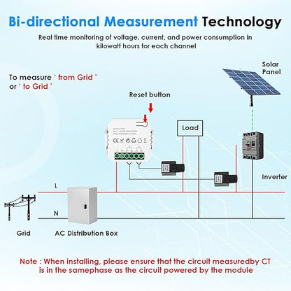 Smart Home Energy Monitor, with 2 x 120A CTs, Bi-Directional Power Tracking, Real-Time Electricity Usage Monitor, 2.4GHz Wi-Fi, Compatible with Tuya/Smart Life Apps