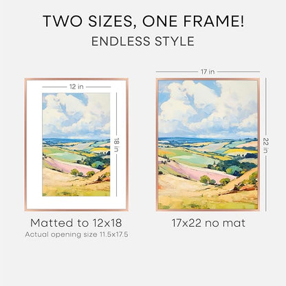Homeforia 17x22 Picture Frame Silver, High End Metal 17x22 Frames with Mat 12x18 for Photo, 17 x 22 Silver Poster Frame Matted to 12 x 18 Print, 22x17 Hanging Frame, Tempered Glass, Wall Kit, Set of 1