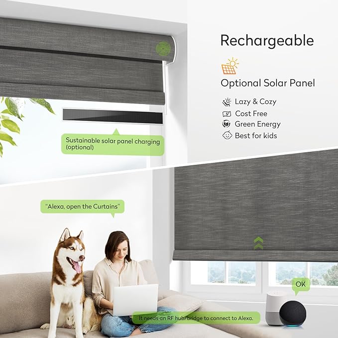 ZSTARR Motorized Light Filtering Roller Blinds with Remote Control,Rechargeable Smart Window Shades Compatible with Alexa Google via Hub,Fabric Wrapped Valance, Custom Size (ash Gray)