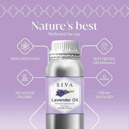 Siva Lavender Essential Oil – 16 Fl Oz – 100% Natural Lavender Oil - for Diffuser, Hair Care, Face, Skin Care, Aromatherapy, Scalp and Body Massage, Soap and Candle Making