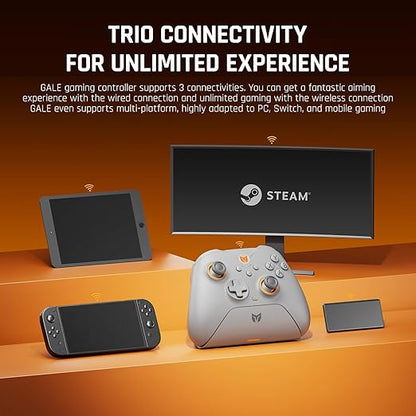 PC Controllers, BIGBIG WON Gale Hall Wireless Controllers, Motion Control, Hall Joysticks&Triggers, 3 Pairs of Thumbsticks, PC App Game Controllers for Switch/Switch2/iOS/Android Wireless Gaming Controller