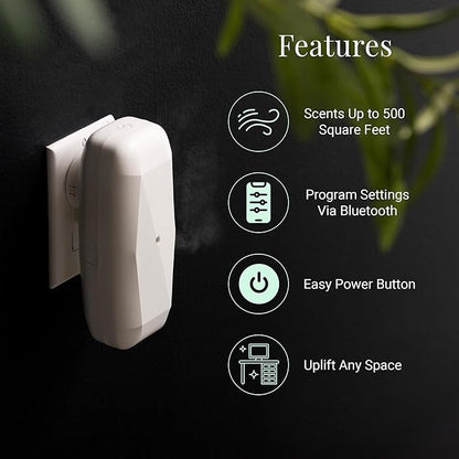 Green Tea & Lemongrass Aroma Oil & Diamond Smart Scent Air Machine - Sleek & Efficient Essential Oil Diffuser | Bluetooth App Control | Fresh Cut Pine & Fir | Refreshing Winter Forest Scent | 100mL