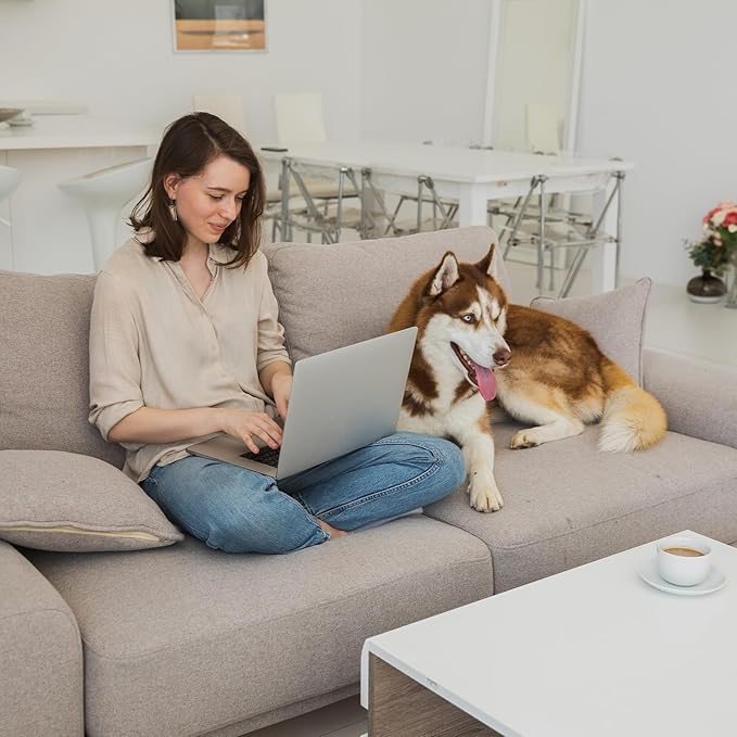 Couch Cushions Support for Sagging Seat -20"X 20"Curved Foam Sofa Cushion Support Board,Grey Couch Supporterfor Under The Cushions,Set of 3