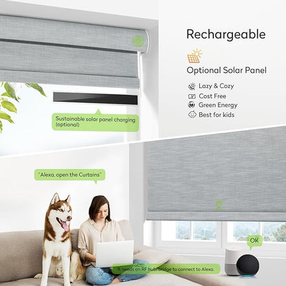 ZSTARR Motorized Blackout Roller Blinds with Remote Control,Rechargeable Smart Window Shades Compatible with Alexa Google via Hub,Fabric Wrapped Valance, Custom Size (Smoke Grey)