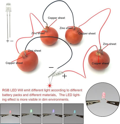 EUDAX Fruit Battery Science Experiment Kit with Electronic Clock and RGB LED for DIY Home Teaching Equipment, School Science Project, Education Subject