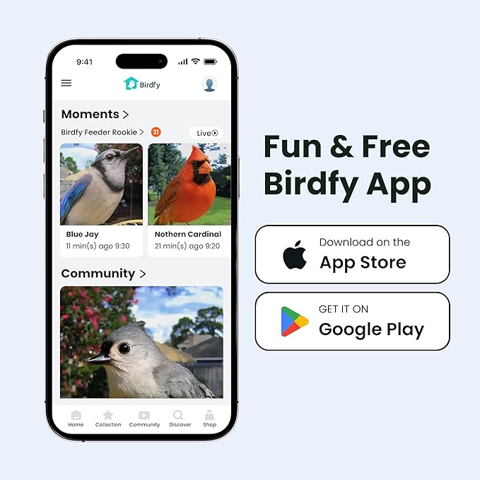 Birdfy Smart Bird Feeder with Camera for Rookie, Camera Bird Feeder Dual Night Vision, AI Recognition IP66 Waterproof for BirdLovers, 1.3L Capacity (AI by Subscription)