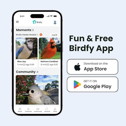 Birdfy Smart Bird Feeder with Camera for Rookie, Camera Bird Feeder Dual Night Vision, AI Recognition IP66 Waterproof for BirdLovers (Lifetime Free AI)