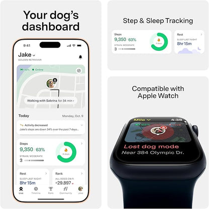 New Fi Series 3+ Smart Dog Tracker Collar [12 Month Membership Included] GPS Tracker for Dogs with Health & Behavior Monitoring, Escape Alerts, Waterproof, LED, Apple Watch Compatible (Gray, X-Small)