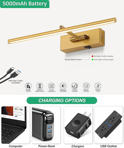 Battery Operated Picture Light with Wireless Remote 3CCT Dimmable Gold Wall Art Lights for Paintings 3 Color Rechargeable cordless decor Gallery Light 16’‘ Artwork Lighting for Canvas Timer Function