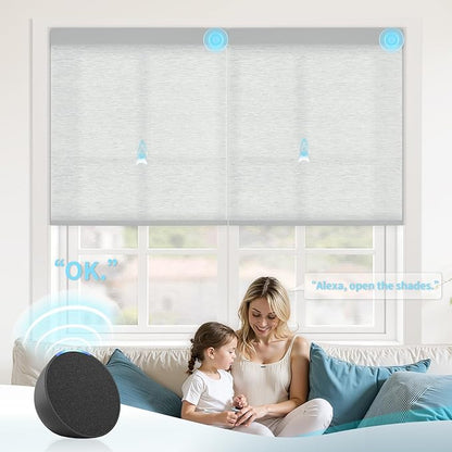 Motorized Blinds with Remote Custom Size Blackout Smart Roller Shades Compatible with Alexa Google, Electric Blinds for Windows