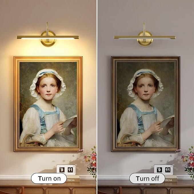 JOOSENLUX Gold Picture Lights for Paintings Hardwired 16.5" Inch Long Dimmable Gallery Wall Lights with Adjustable Lighting Direction 110V 3000K