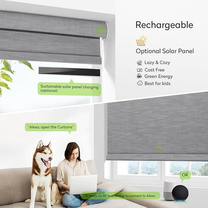 ZSTARR Motorized Blackout Roller Blinds with Remote Control,Rechargeable Smart Window Shades Compatible with Alexa Google via Hub,Fabric Wrapped Valance, Custom Size (Gray)