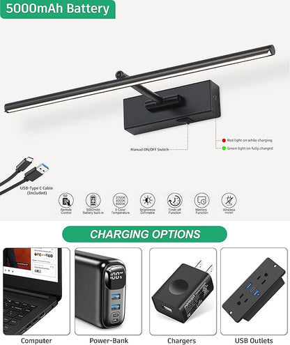 Battery Operated Picture Light with Wireless Remote 3CCT Dimmable Black Wall Art Lights for Paintings Rechargeable Home Decor Gallery Light 24’‘ Artwork Lighting for Canvas Timer Function