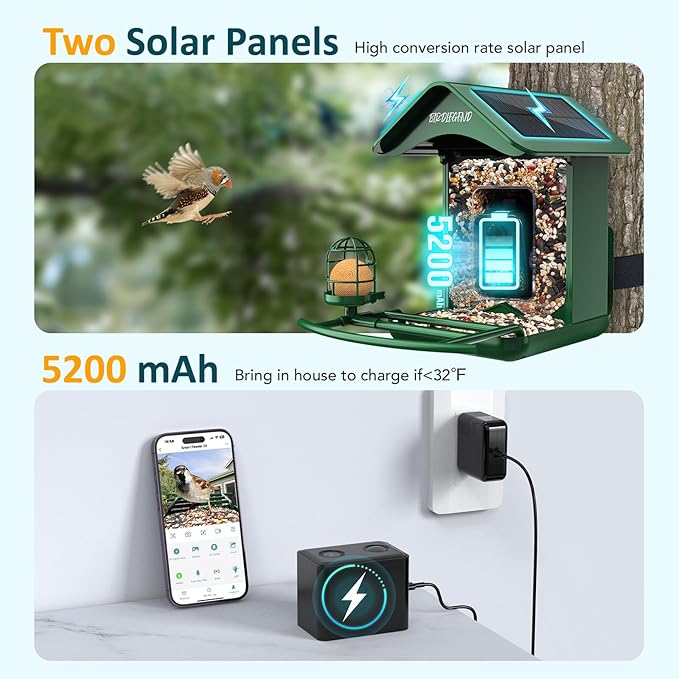 BIRDLEGEND® Bird Feeder with Camera Solar Powered, 2K Portrait Live Free AI Forever Instant Arrival Alerts with 64GB Card, Smart Camera Birds Feeders Wireless Outdoor Gift for Bird Lover, 2.4G WiFi