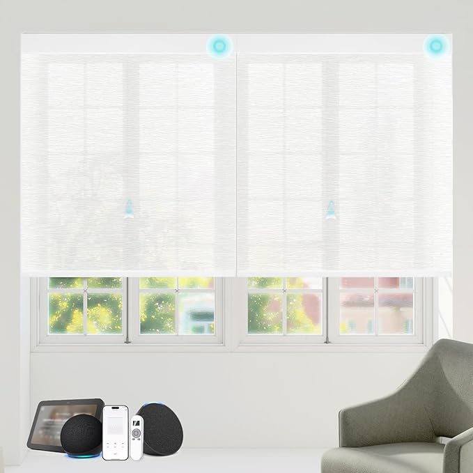 Motorized Blinds with Remote Custom Size Blackout Smart Roller Shades Compatible with Alexa Google, Electric Blinds for Windows