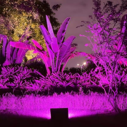 haraqi 6 Pack 9W (60W Equivalent) 120V E26 Base A19 LED Colored Light Bulb, Purple LED Lights for Party Christmas Decor and Halloween Lighting