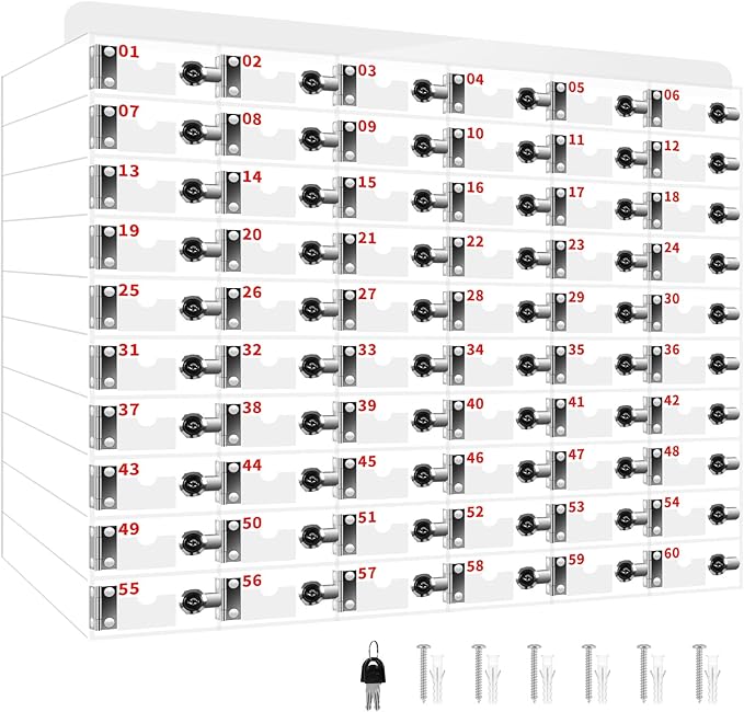 60 Slots Clear Acrylic Cell Phone Locker Box Wall-Mounted with Keys, Lockable Secure Storage Cabinet for Classroom Office Gym, Multi-Use Phone Lock Organizer for Employees Students (Small)
