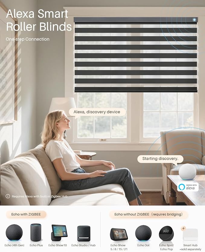 Smart Zebra Blinds for Windows, Alexa Motorized Blinds with Remote Control, Automatic Electric Power Zebra Shades for Indoor Windows (40" W x 72" H, Black)