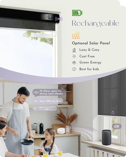 Graywind Motorized Solar Shades Compatible with Alexa Google Remote Electric Window Shade Fireproof Smart Roller Blinds with Valance for Home Office Patio, Custom Size (5% Openness Black)