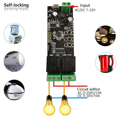 Jane Eyre 2 Channel WiFi Momentary/Self-Locking Relay Switch Module DC 7-32V DIY Switch Module TUYA/SmartLife APP Remote Switch Relay Compatible with Alexa Echo Google Home