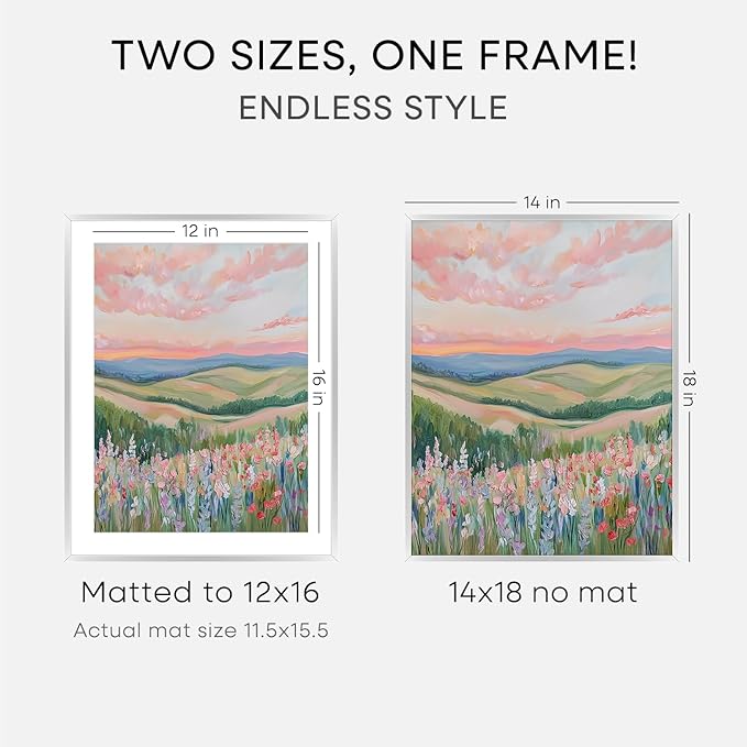 Homeforia 14x18 Picture Frame Silver, High End Metal 14x18 Frames with Mat 12x16 for Photo, 14 x 18 Silver Poster Frame Matted to 12 x 16 Print, 18x14 Hanging Frame, Tempered Glass, Wall Kit, Set of 1