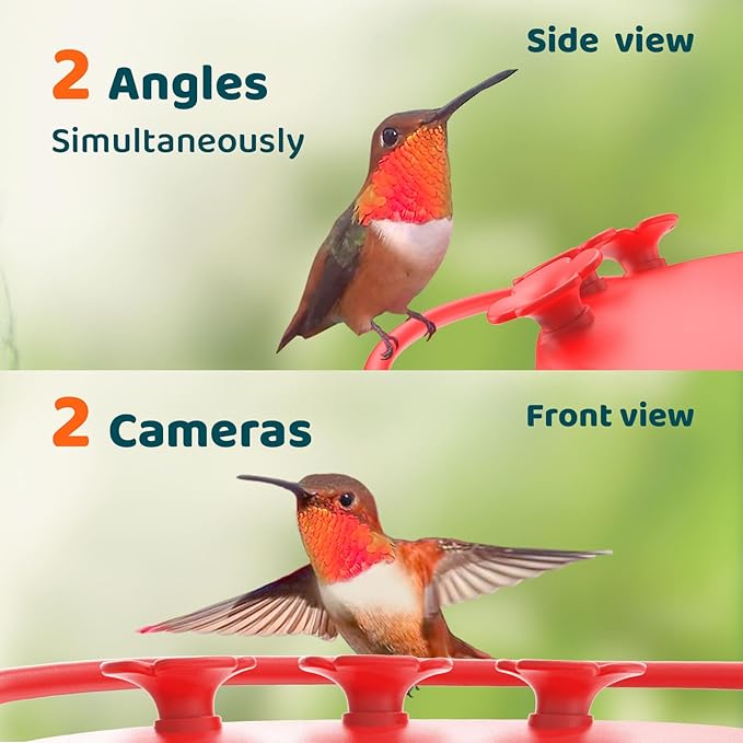 Birdfy Hummingbird Feeder with Dual Cameras - 2K HD Smart Cameras Solar Powered, Close-Up Bird Video/Live Watching & Instant Notifications, Ant Moat & Leakproof - 20oz (AI Lifetime)