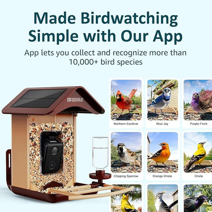 BIRDLEGEND® Bird Feeder with Camera Solar Powered, 2K Portrait Live Free AI Forever Instant Arrival Alerts with 64GB Card, Smart Camera Birds Feeders Wireless Outdoor Gift for Bird Lover, 2.4G WiFi