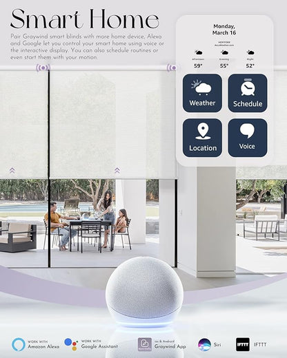 Graywind Motorized Roller Shades Compatible with Alexa Google Hardwired WiFi Smart Light Filtering Blind Remote Automated Blinds Electric Window Shade, Custom Size (3% Openness Solar Silver)