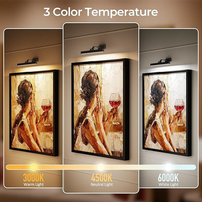 Picture Lights Wall Light 16in CCT Gallery Light | Battery Operated, Timer, Remote Control, Adjustable Brightness, Long Lasting, for Wall, for Paintings, for Living Room, Art, Dartboard, Decor