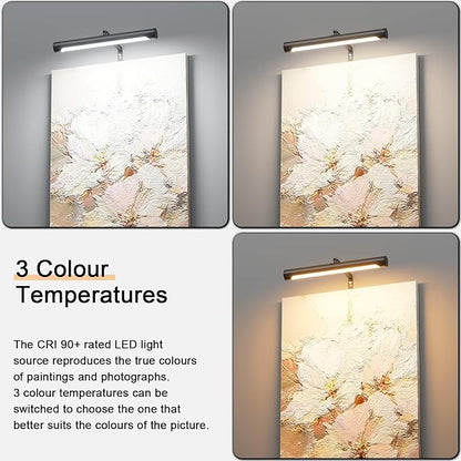 4W Picture Light Plug in, 12" Adjustable LED Art Light with Remote Control, Dimmable Wall Light for Picture Display Dartboard Art Work (Black)