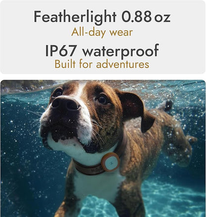 Molly&Cody GPS + Bluetooth Pet Tracker for Cats & Dogs – Real‑Time Tracking, Virtual Fence, IP67 Waterproof, Up to 60‑Day Battery, Health Monitoring, iOS/Android – Subscription Required (Red)