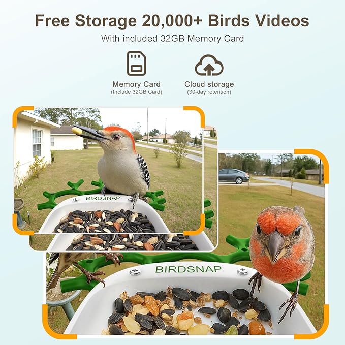 birdsnap® P33 - Smart Bird Feeder with Camera Solar Powered, 2K Video Bird Camera Feeder Live with 32GB Card, AI Identify Feather Species, Auto Record in Backyard, Ideal Gift for Birds Lover