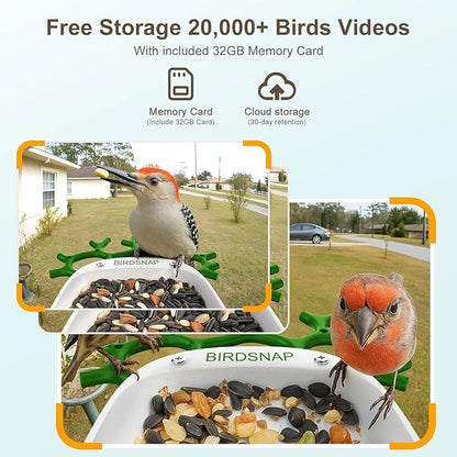 birdsnap® P33 - Smart Bird Feeder with Camera Solar Powered, 2K Video Bird Camera Feeder Live with 32GB Card, AI Identify Feather Species, Auto Record in Backyard, Ideal Gift for Birds Lover