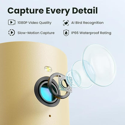 Birdfy Bird Feeder with Camera for Rookie - Solar Powered Outdoor Bird Feeder with Dual Night Vision, AI Recognition, Slow Motion & IP66 Waterproof, Ideal for BirdLovers (AI by Subscription)