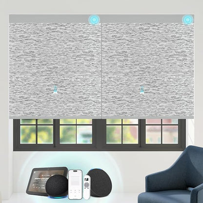 Motorized Blinds with Remote Custom Size Blackout Smart Roller Shades Compatible with Alexa Google, Electric Blinds for Windows