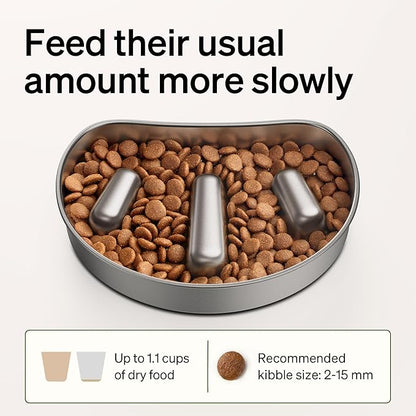 PETLIBRO Slow Feeder Bowl for Small Dogs & Cats, 1.125 Cup— Anti-Gulp Stainless Steel Dog & Cat Bowl, Helps Reduce Risk of Bloat, Dishwasher Safe — Compatible with PETLIBRO Camera Automatic Feeder