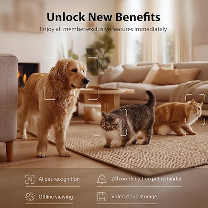 IMIPAW Automatic Cat Feeder with Camera, 1080P HD AI Pet Recognition Recording, 5G WiFi APP Remote Control, Timed Programmable Food Dispenser, Two-Way Audio, with Night Vision Function and Desiccant