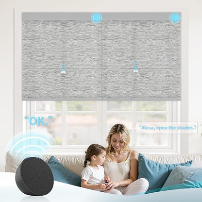 Motorized Blinds with Remote Custom Size Blackout Smart Roller Shades Compatible with Alexa Google, Electric Blinds for Windows