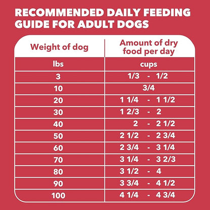 IAMS Proactive Health Minichunks Adult Dry Dog Food with Lamb & Rice, 30 lb. Bag