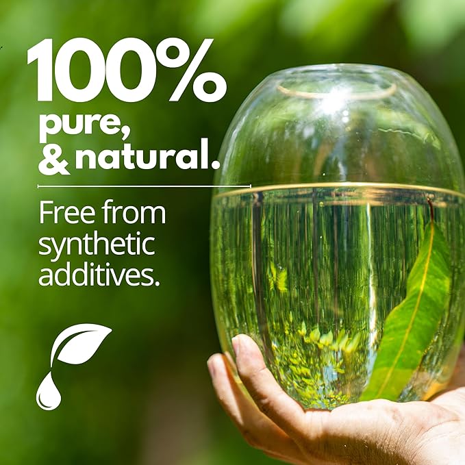 Eucalyptus Globulus Essential Oil by One Arome – Pure, Undiluted & Steam-Distilled Herbal Aroma for Diffusers for Home, Massage (Dilute), Cleaning & Linen Refresh (Pack of 4/1.0 Fl Oz)