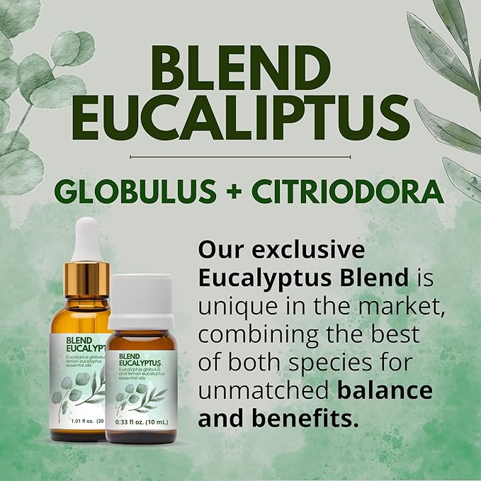 Dual Eucalyptus Essential Oil Blends by One Arome – Eucalyptus Oil (Corymbia Citriodora - Lemon & Eucalyptus Globulus) | Oil for Diffusers, Massage (Dilute) & DIY (Pack of 6 × 0.34 fl oz Each)