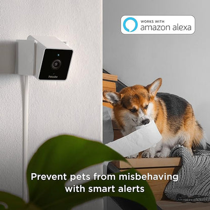 Petcube Cam Indoor Home Security Camera with 1080p HD Video, Two-Way Audio, Motion Detection, and Phone App, Night Vision Wi-Fi Camera for Apartment Security, Video Baby Monitor