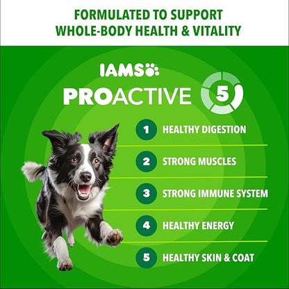 IAMS Proactive Health Adult Minichunks Dry Dog Food Chicken & Whole Grain Recipe, 15 lb. Bag