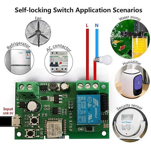 Jane Eyre WiFi Instant Relay Self Lock Switch Module with 433MHz RF Remote Control DIY Garage Door Switch Module Ewelink App Control Compatible with Alexa Goolution Assistant(1 Channel)
